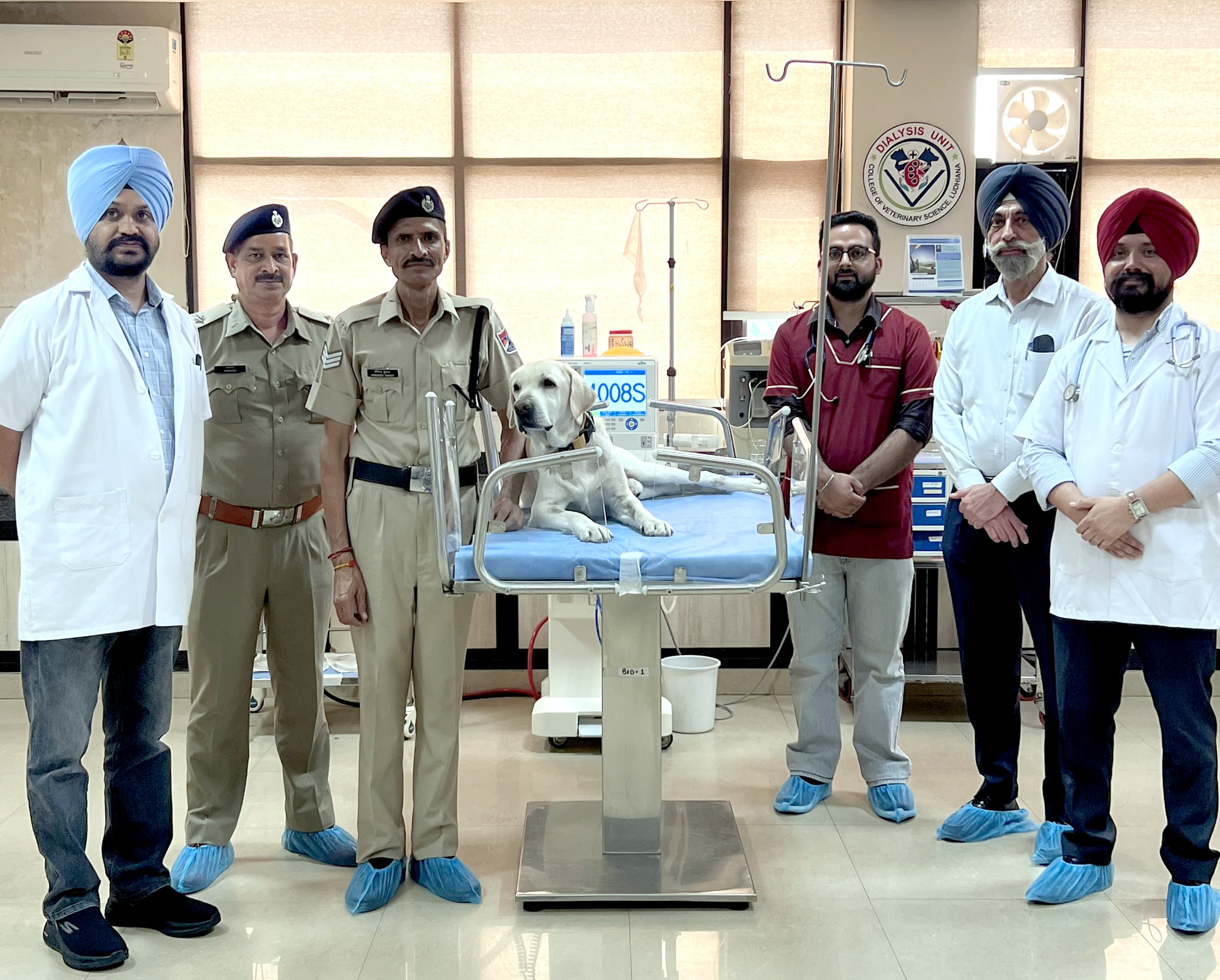 RPF Explosive Detection Dog ‘Anex’ Recovers After Life-Saving Dialysis at Vet Varsity